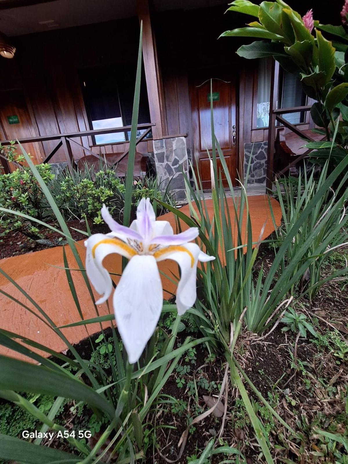 Iris Arenal Hotel La Fortuna 외부 사진